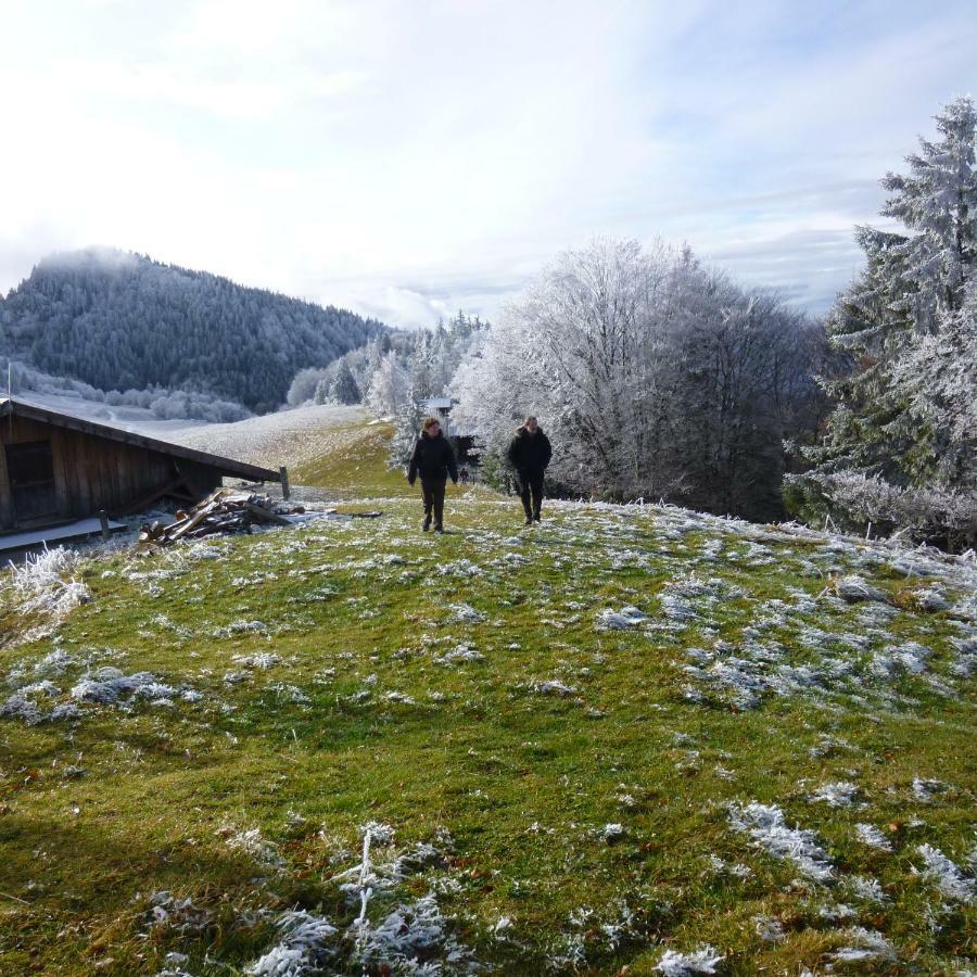 Les Sapins Blancs Διαμέρισμα Vacheresse Εξωτερικό φωτογραφία