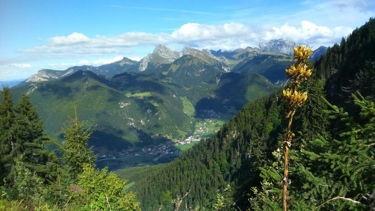 Les Sapins Blancs Διαμέρισμα Vacheresse Εξωτερικό φωτογραφία