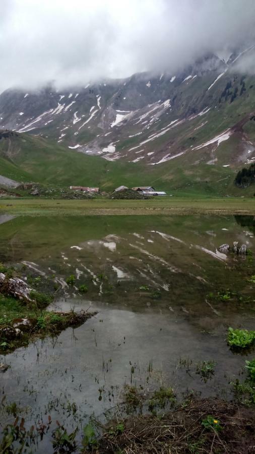 Les Sapins Blancs Διαμέρισμα Vacheresse Εξωτερικό φωτογραφία