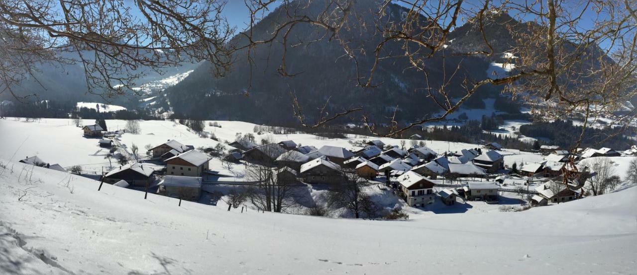 Les Sapins Blancs Διαμέρισμα Vacheresse Εξωτερικό φωτογραφία